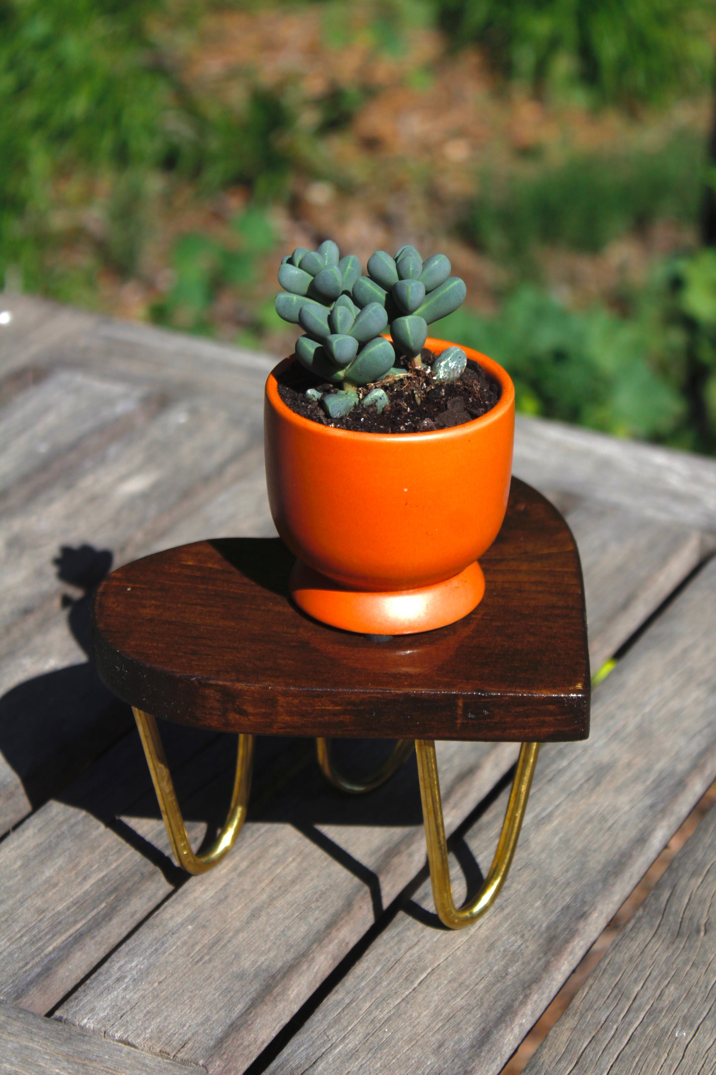 Heart Shaped Plant Stands