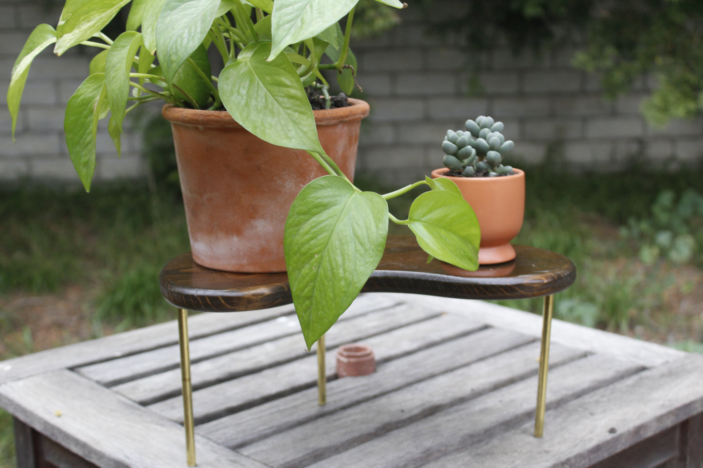 Handmade Wood Plant Stand Kidney Shaped Stained Decor