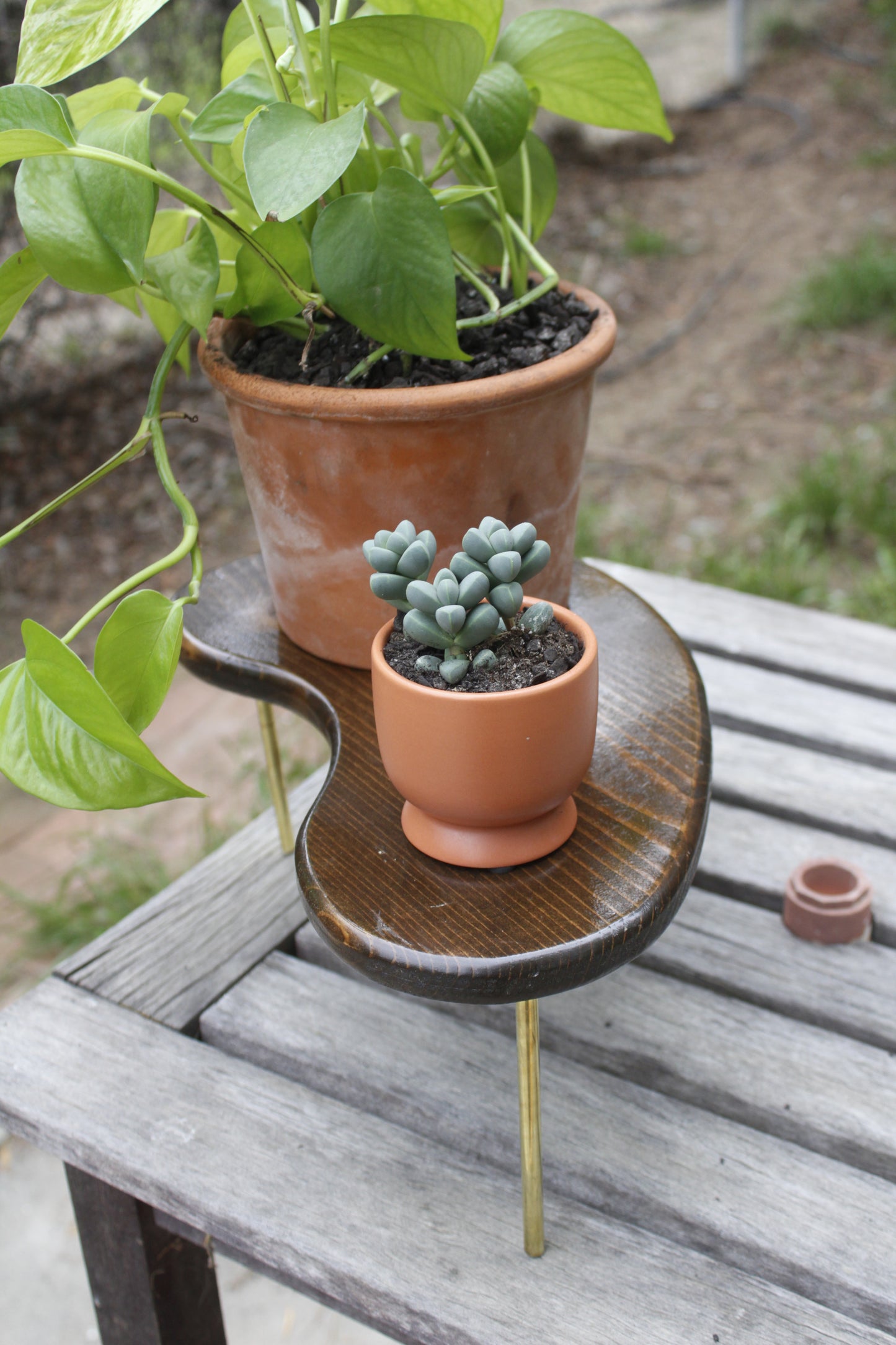 Handmade Wood Plant Stand Kidney Shaped Stained Decor